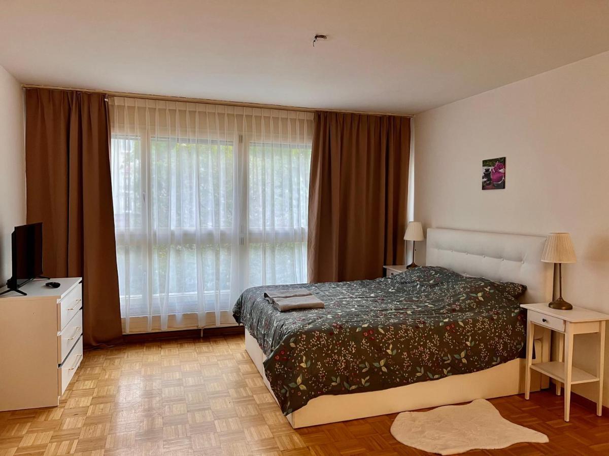 Comfort Appartment 2 Schafzimmer Basilea Exterior foto